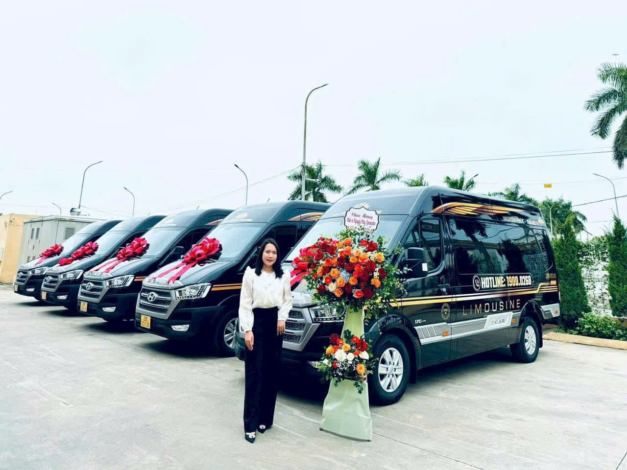 xe hoa mai, xe toàn thắng